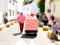 Seifenkistenrennen2014_43