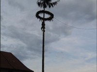054
