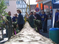 2006-038